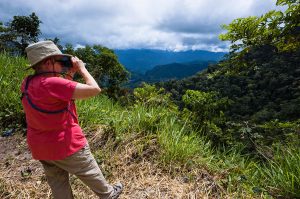 Birding Peru Machu Picchu - Manu road