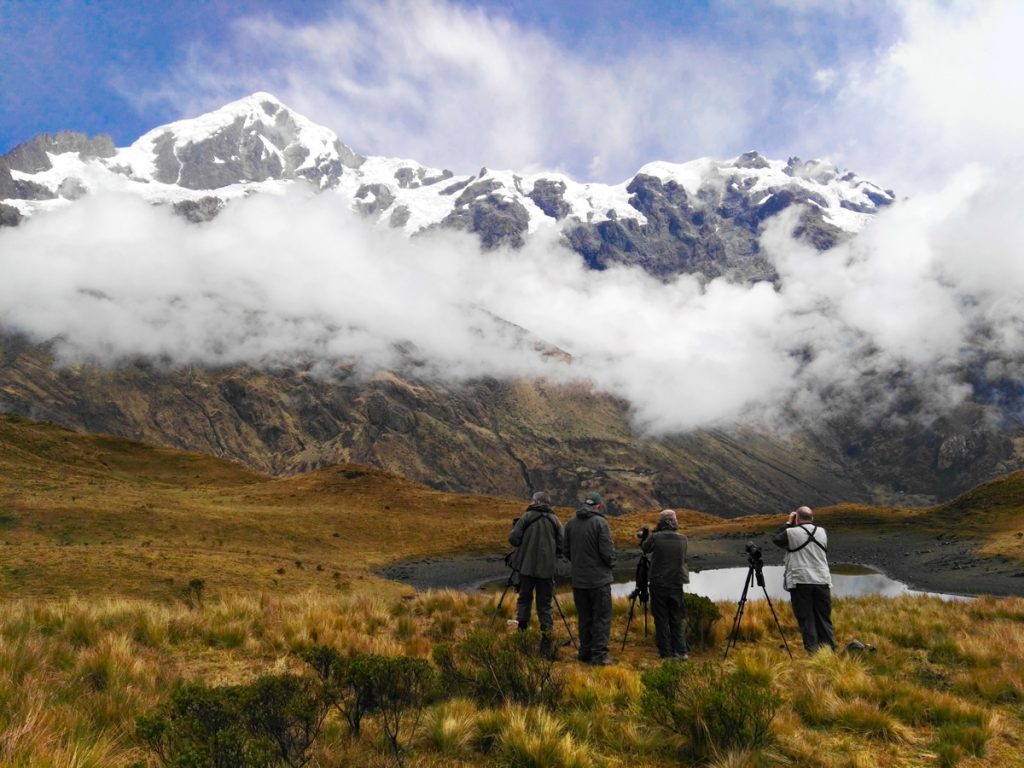 Birding in southern Peru tour Cuzco and Manu Abra Malaga